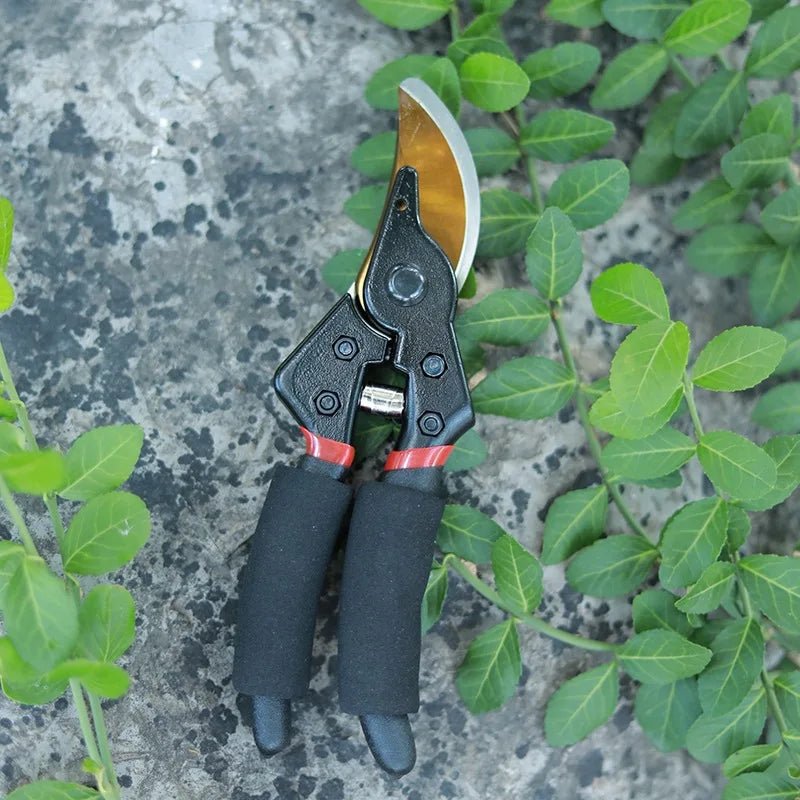 SK5 - Gartenschere für Bonsai und Obstbäume - Grun - 25